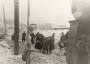 Zwangsarbeitseinsatz jüdischer Einwohner von Minsk während der deutschen Besatzung