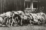 Konzentrationslager Dachau - Leichenberg